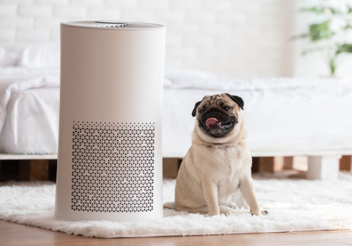 How Effective are Air Purifiers for Allergies?